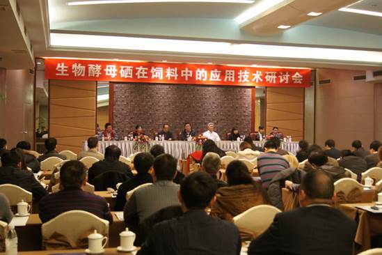 clip_image002.jpg